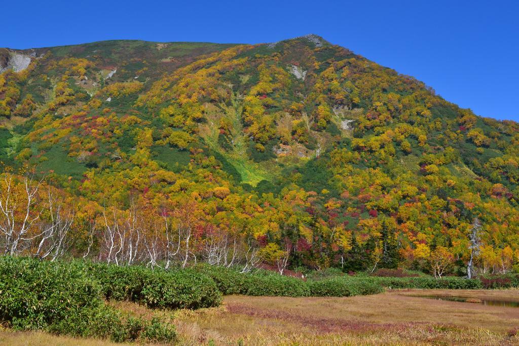 Hakuba Mominoki Hotel מראה חיצוני תמונה